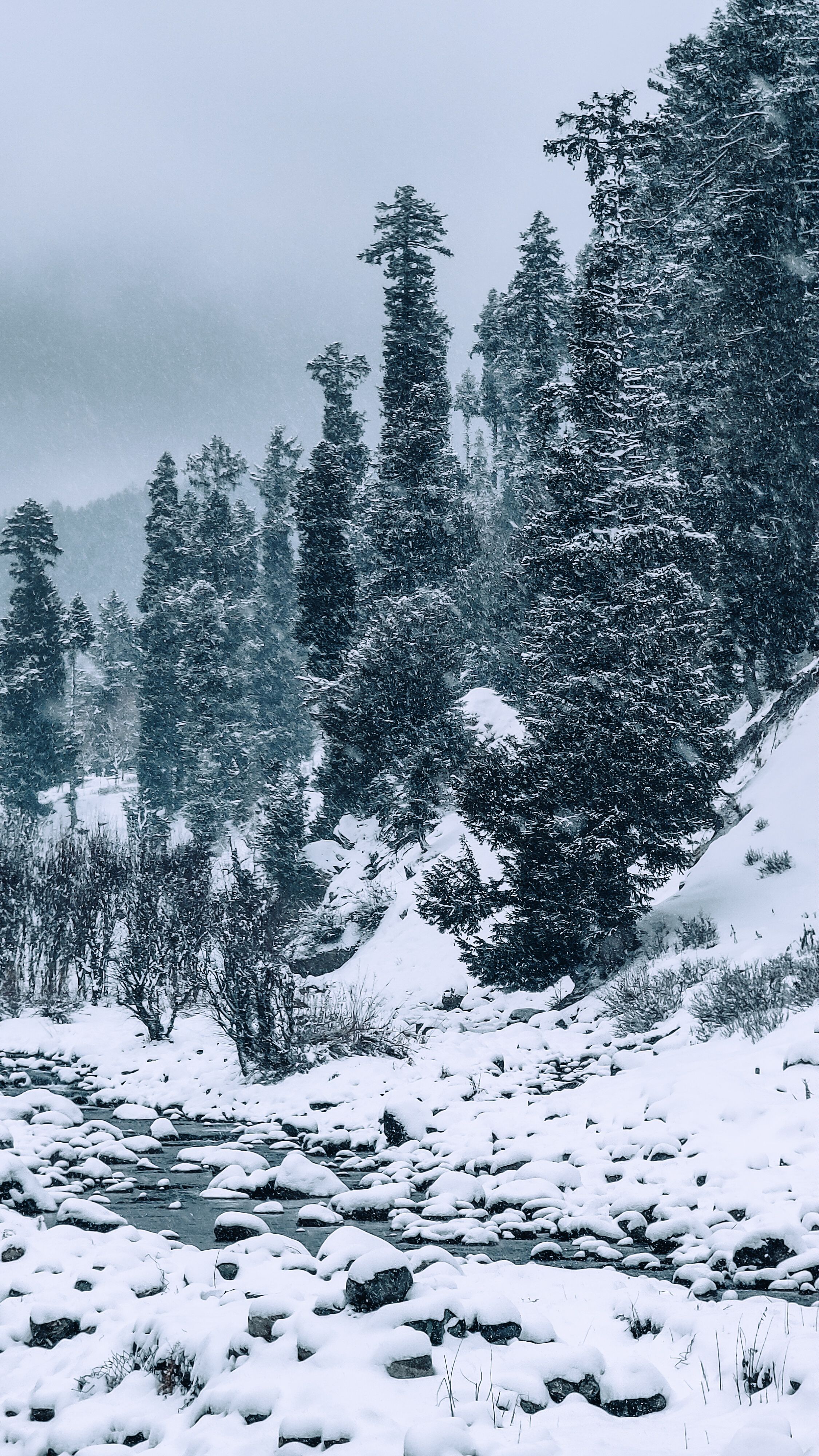 Dharamshala & Dalhousie Getaway gallery