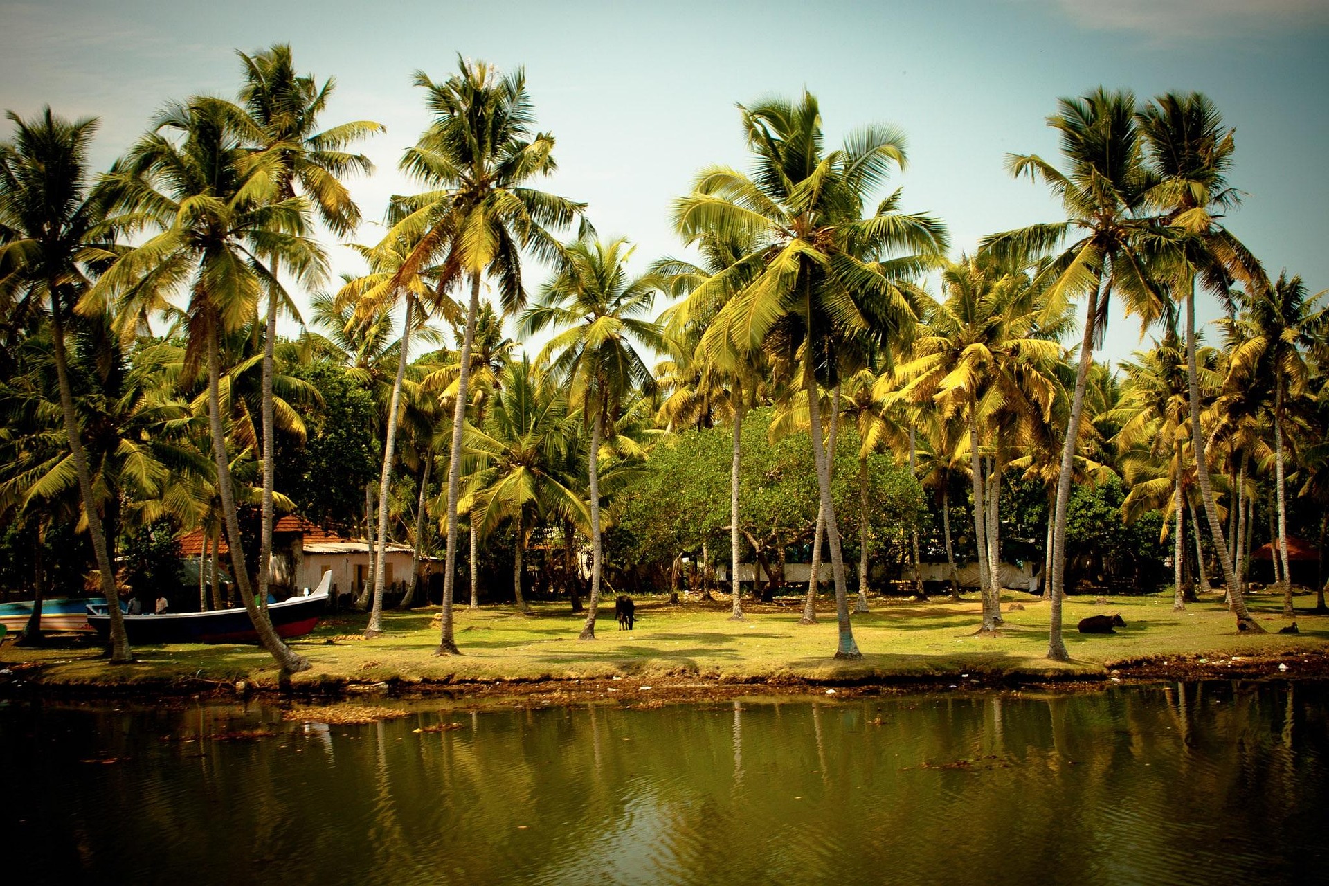 Kerala Backwaters & Hills Delight gallery