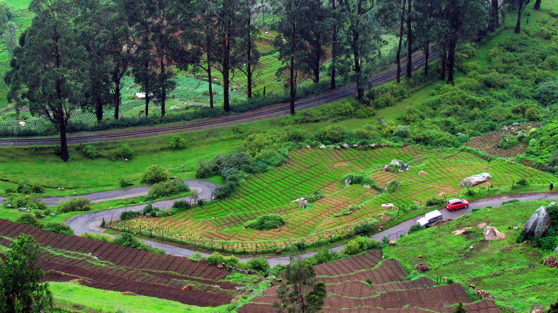 Ooty Coonoor Hills Escape gallery