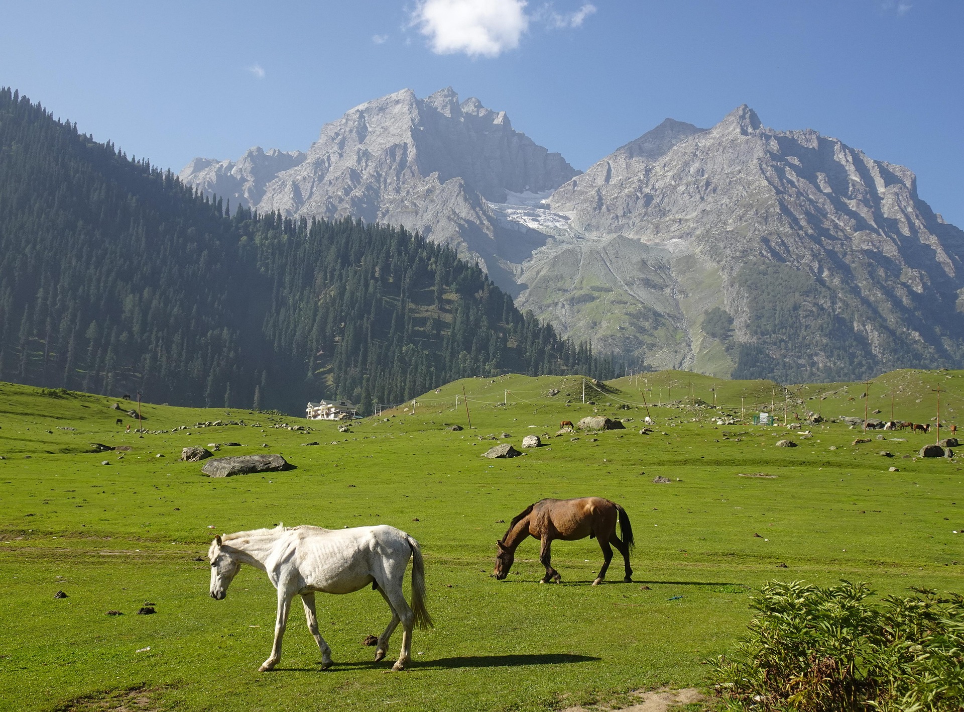 Kashmir Winter Wonderland gallery