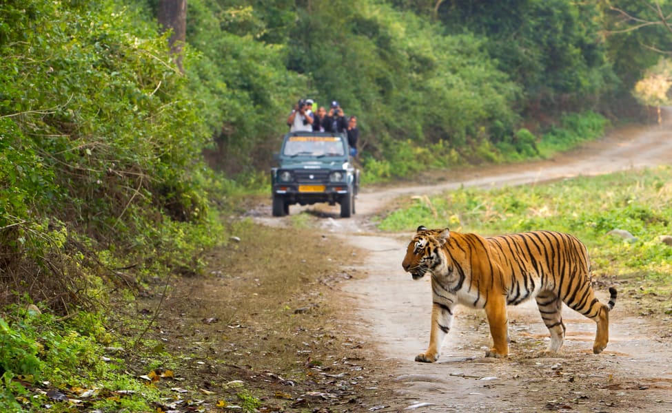 Nainital & Jim corbett Adventure