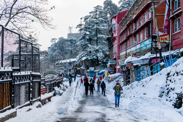 Shimla Manali Dream Holiday